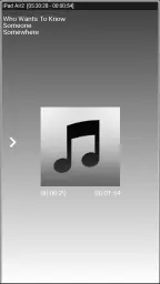 AirPlayMirror (Demo) screenshot