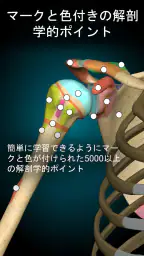 Anatomy Learning - 3D解剖学 screenshot