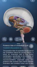 AR Anatomy screenshot