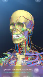 AR Anatomy screenshot