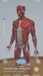AR Anatomy screenshot