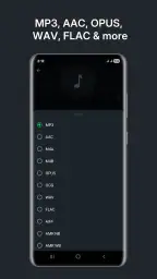 Audio Converter (MP3 AAC OPUS) screenshot