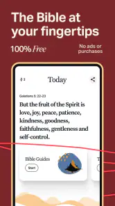 Holy Bible Offline NIV KJV App screenshot