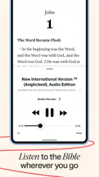 Holy Bible Offline NIV KJV App screenshot