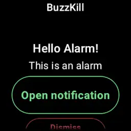 BuzzKill Notification Manager screenshot