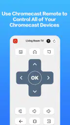 Castly -Roku, Chromecast,DLNA screenshot