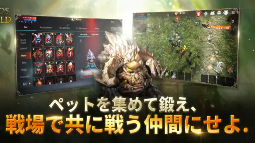 Chaos W screenshot