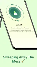 CleanRiot screenshot