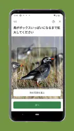 Cornell LabによるMerlin Bird ID screenshot