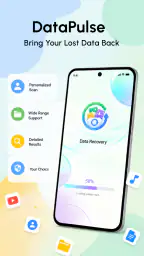 DataPulse-Recovery Assistant screenshot