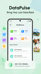 DataPulse-Recovery Assistant screenshot