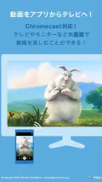 DMM動画プレイヤー screenshot