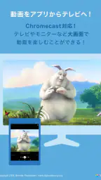 DMM動画プレイヤー screenshot