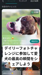DogPack: ドッグパーク＆サービス screenshot