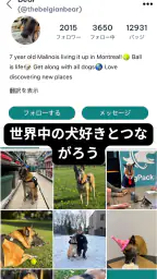 DogPack: ドッグパーク＆サービス screenshot