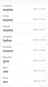 English Bangla Dictionary screenshot