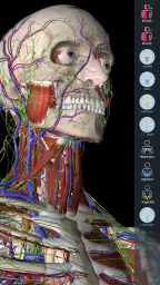 Essential Anatomy 5 screenshot