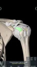 Essential Anatomy 5 screenshot
