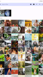 Fossify Gallery screenshot
