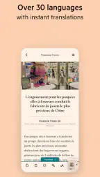 FT Digital Edition screenshot