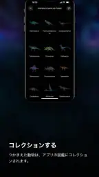 Fukuoka / Collecting Forest screenshot