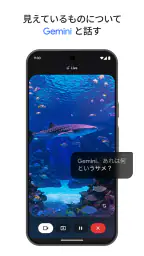 Google Gemini screenshot
