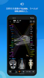 IMAIOS vet-Anatomy screenshot