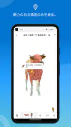 IMAIOS vet-Anatomy screenshot