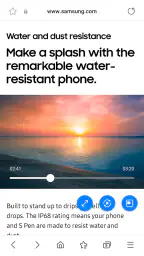 Internet Browser screenshot