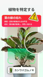 LeafCheck：植物識別とケア screenshot