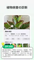 LeafCheck：植物識別とケア screenshot