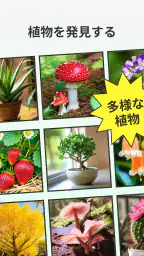 LeafCheck：植物識別とケア screenshot