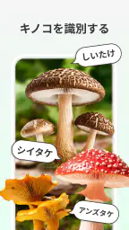 LeafCheck：植物識別とケア screenshot