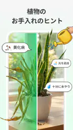 LeafCheck：植物識別とケア screenshot