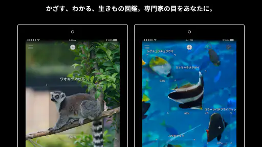 LINNÉ LENS - かざすAI図鑑 screenshot