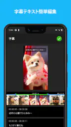 MixCaptions - ビデオ字幕＆動画文字入れ screenshot