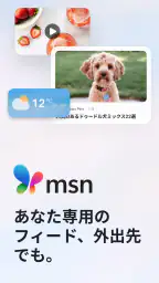 MSN screenshot