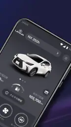 My LEXUS screenshot
