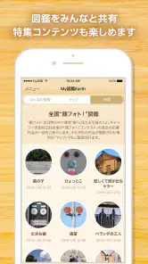 My図鑑 〜コレクション管理・整理アプリ〜 screenshot