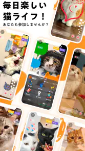 nekochan - 猫だけのライブ配信で癒されよう！ screenshot