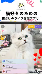 nekochan - 猫だけのライブ配信で癒されよう！ screenshot