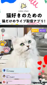nekochan - 猫だけのライブ配信で癒されよう！ screenshot