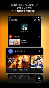 Netflix screenshot