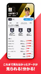 NPB+ screenshot