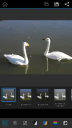 OM Image Share screenshot