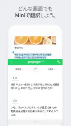 Papago - AI通訳・翻訳 screenshot