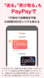 PayPay screenshot