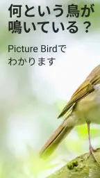 Picture Bird - 撮ったら、判る-1秒鳥図鑑 screenshot