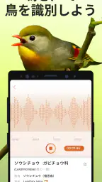 Picture Bird - 撮ったら、判る-1秒鳥図鑑 screenshot