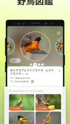 Picture Bird - 撮ったら、判る-1秒鳥図鑑 screenshot